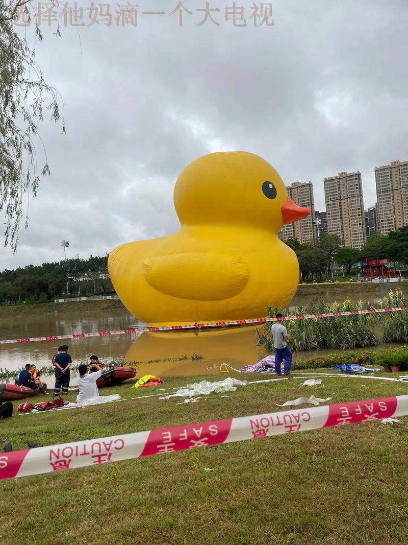 半岛体育在哪里玩