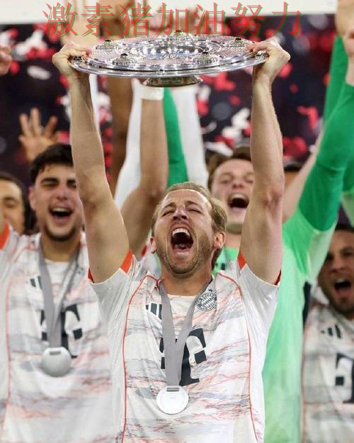 凯恩关键进球点燃全场